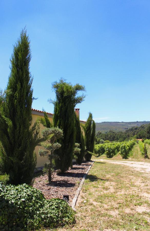 Quinta Das Regueiras Визеу Экстерьер фото